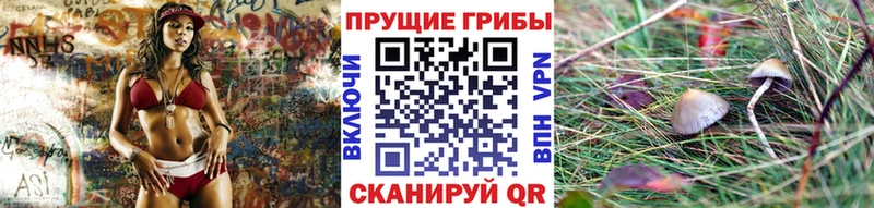 сколько стоит  Минеральные Воды  shop клад  Галлюциногенные грибы ЛСД 