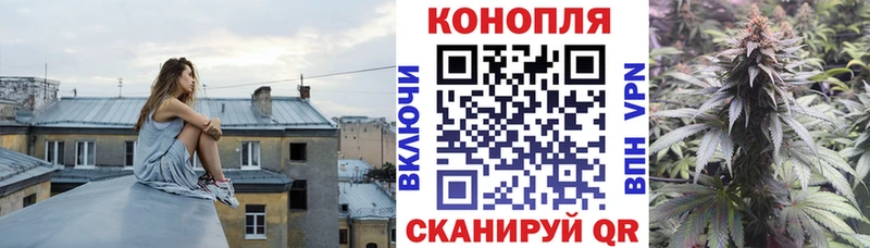 Шишки марихуана тримм  Минеральные Воды 
